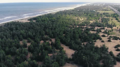 aerial tilt up view from trees to beach coastline in chennai