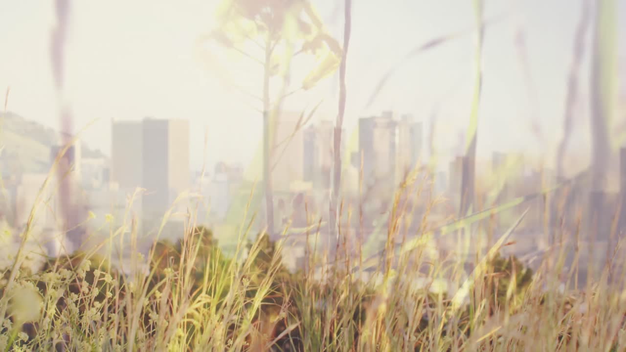 도시 풍경 위에 흔들리는 잔디의 애니메이션