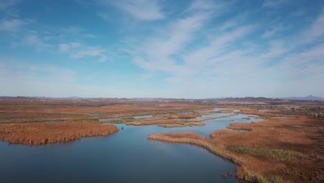 Drone-aerial-view-of-the-marsh-of-Mittry-Lake-Wildlife-Area-on-the-lower-Colorado-River---Yuma,-Arizona