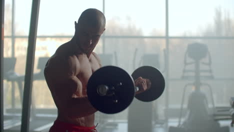 un hombre sin camisa levanta una barra con peso haciendo ejercicios en los bíceps. entrenando manos fuertes en cámara lenta contra una gran ventana en un moderno y elegante gimnasio. el culturista entrena las manos.