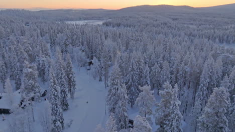 drone circling snowy lodges in middle of frosty forests of lapland, polar night