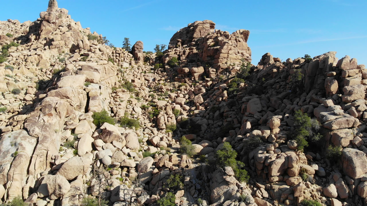 desert scenes from Joshua Tree National Park, California
