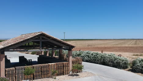 Bodega-Gotica-Es-Una-Empresa-Familiar-Que-Lleva-Varias-Generaciones-Produciendo-Uva-En-El-Municipio-De-Rueda-9