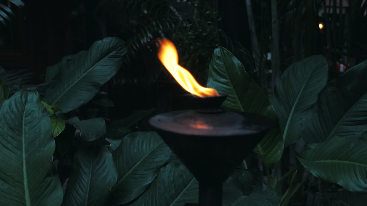 나중에 태국 숲에서 굽기