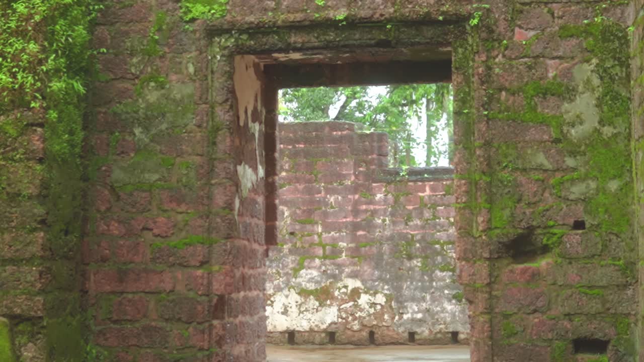 Ancient stone ruins filled with green moss; serene and historical view