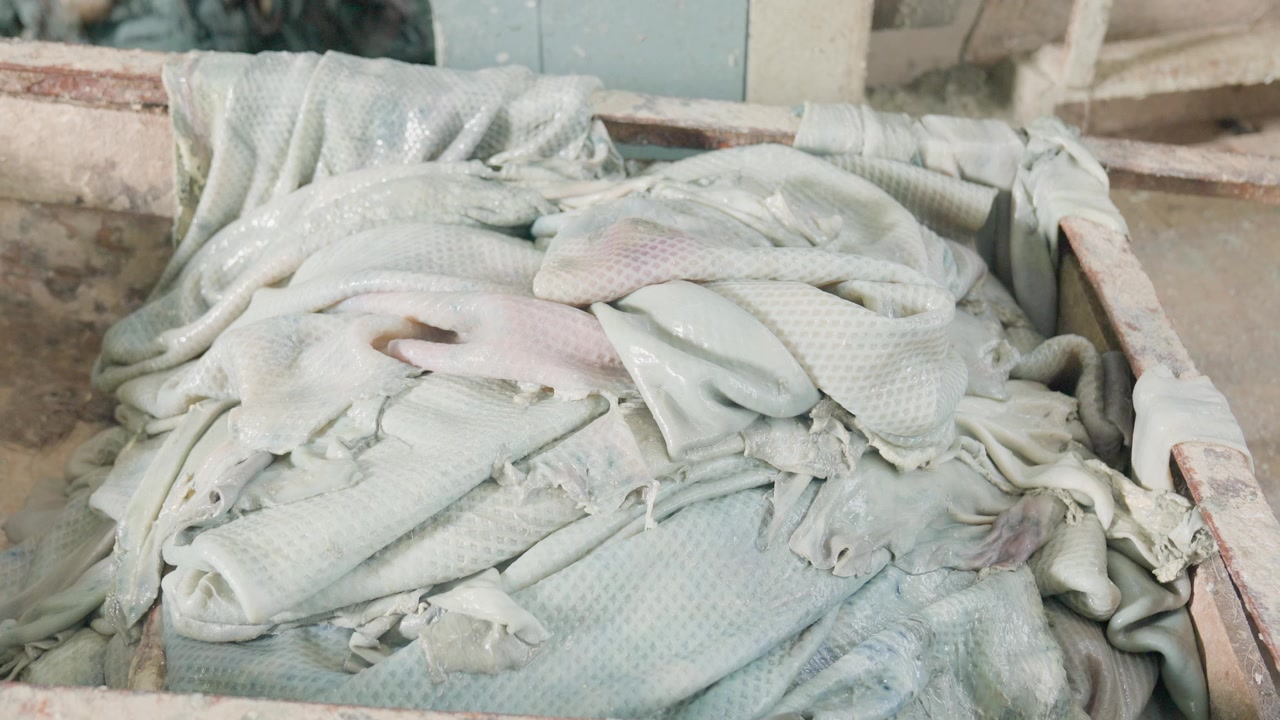 Wet Animal Hides Being Stacked After Processing On A Industrial Machine In A Leather Manufacturing Plant.