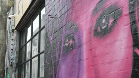 Un-Gran-Mural-Del-Rostro-De-Una-Mujer-En-Un-Edificio-En-El-Interior-Oeste-De-Sydney,-Australia