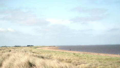 Un-Paseo-Por-La-Playa-Nunca-Viene-Mal