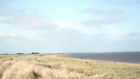 A walk along the beach never hurts