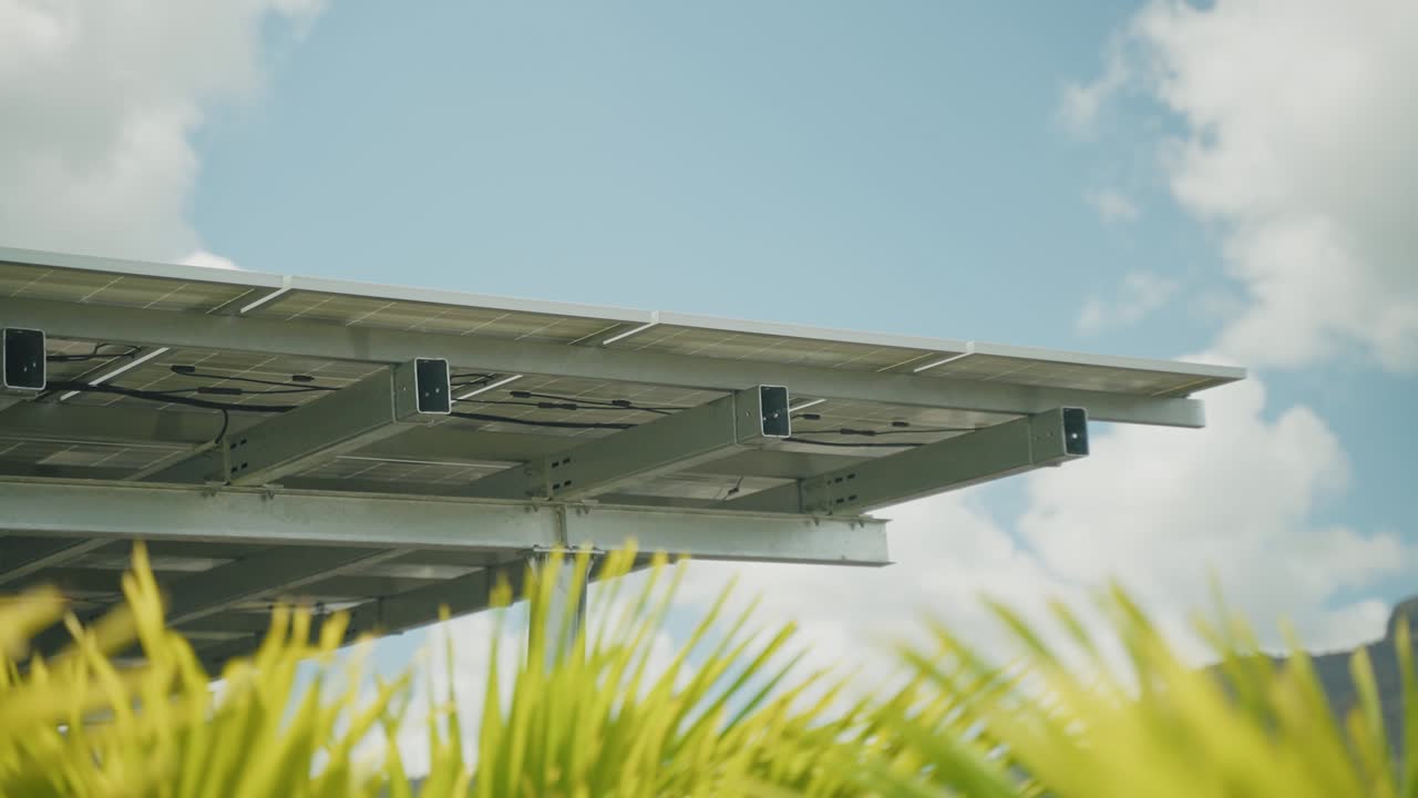 Close up panning shot of tropical palm tree plants in front of modern solar panels during sunny day