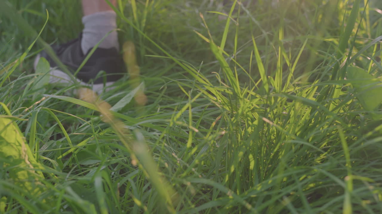 Footsteps In Grass, Sneakers And Socks Under Evening Light Shine, Close View Of Plant Moving As Person Pauses Briefly, Individual Standing In Tall Grass With Subtle Nervous Energy Before Nightfall