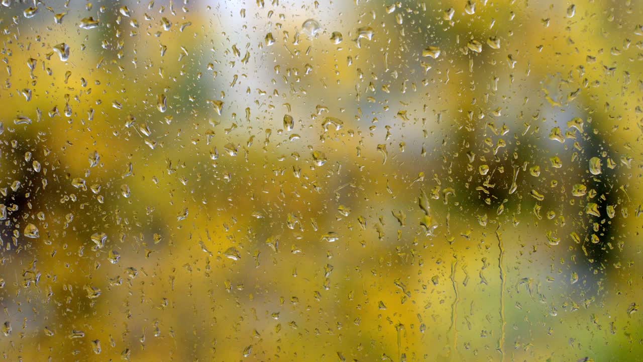 raindrops on Window, rainy Autumn Bokeh Video