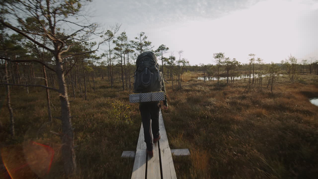 Moving shot of man with backpack going down the pathway in the swamp.