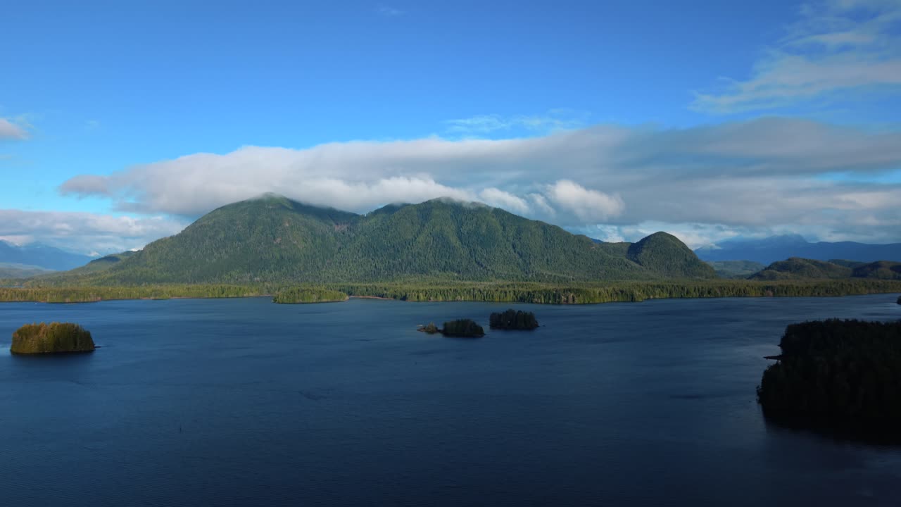 tomada de drone de tofino en la isla de vancouver que muestra colores de otoño, costa escarpada y olas del océano en una vista aérea panorámica.