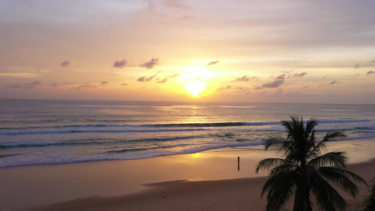 aerial view golden sky in sunset above coconut tree.