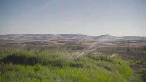 el riego agrícola en cámara lenta.