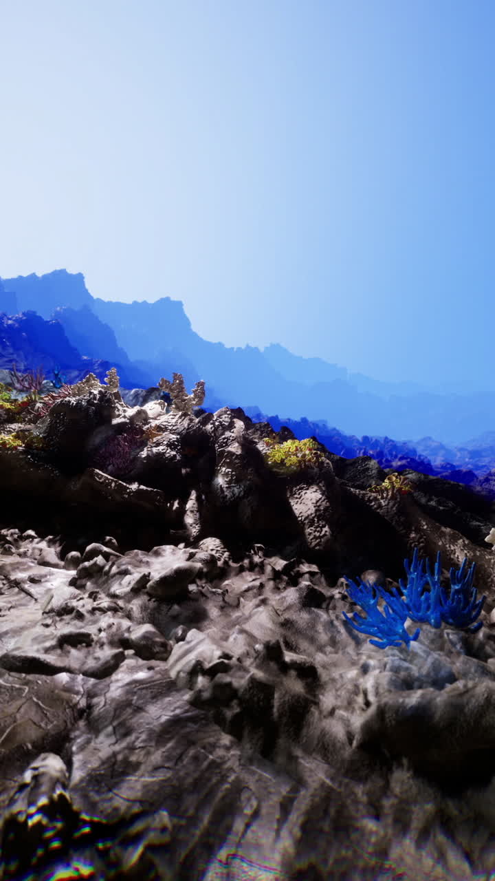 Vibrant underwater landscape showcasing diverse coral reef formations