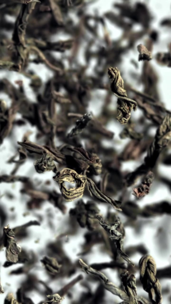 Dried Tea Leaves Falling in Slow Motion on White Background
