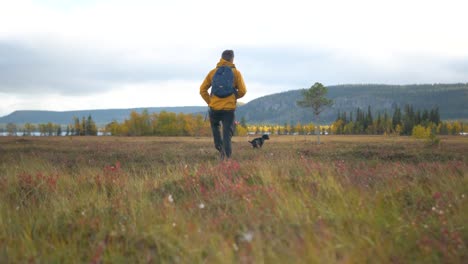 maverick backpacker trekking through lapland meadow with little dog - wide ground level follow tracking slow-motion shot