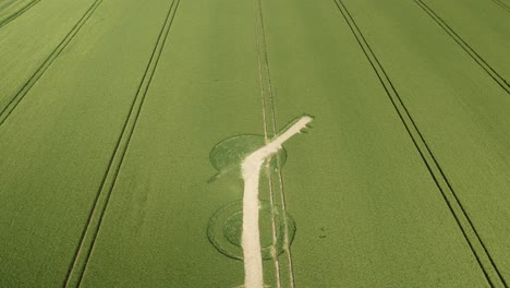 aerial view reveal of winterbourne bassett crop circle ruined by farmer on wilshire barley field