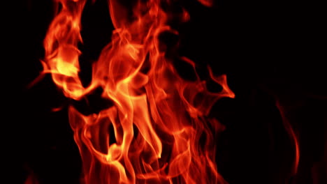 tongues of flame burning at night. isolated fire swaying in the wind in darkness.