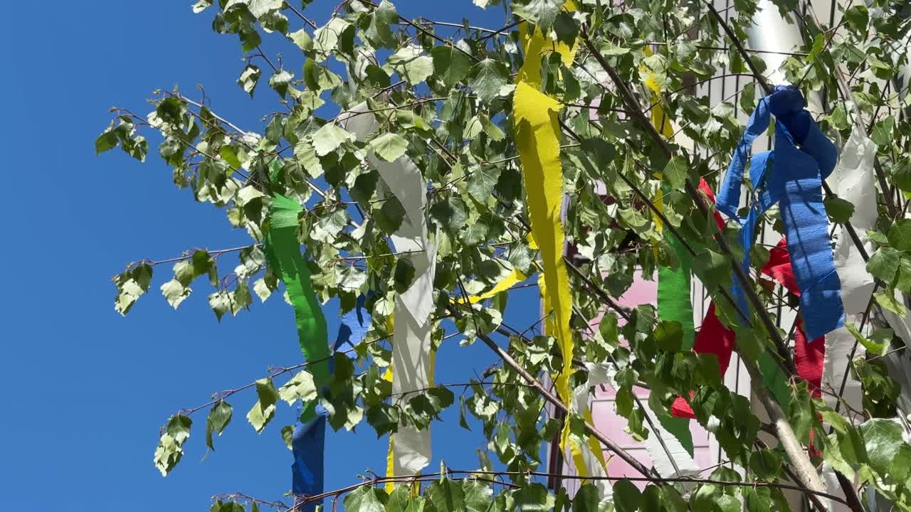 Beautiful decorated May tree on May first in Germany. Romantic tradition and gift.
