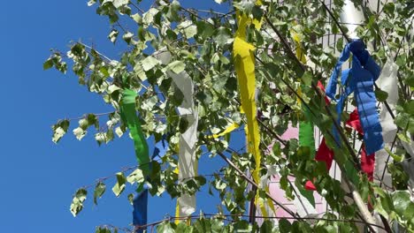Beautiful decorated May tree on May first in Germany. Romantic tradition and gift.