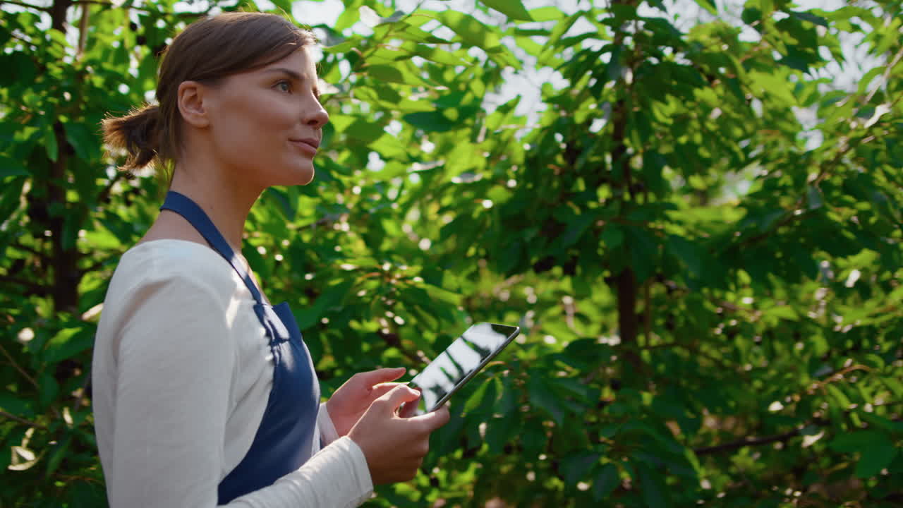 mujer científica agrícola inspeccionando el proceso de cultivo con una tableta en la plantación.