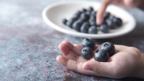child's hand holding blueberries