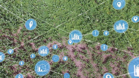 data points and network connections animation over aerial view of agricultural field