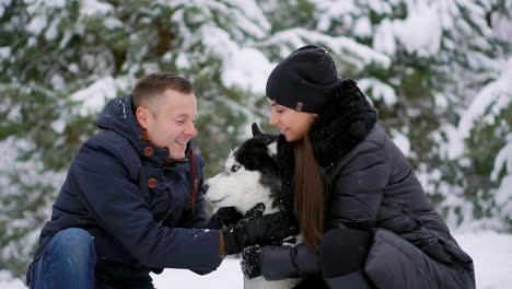 family portrait of cute happy couple hugging with their alaskan malamute dog licking man's face. funny puppy wearing santa christmas deer antlers and kissing woman. freedom lifestyle pet lovers.