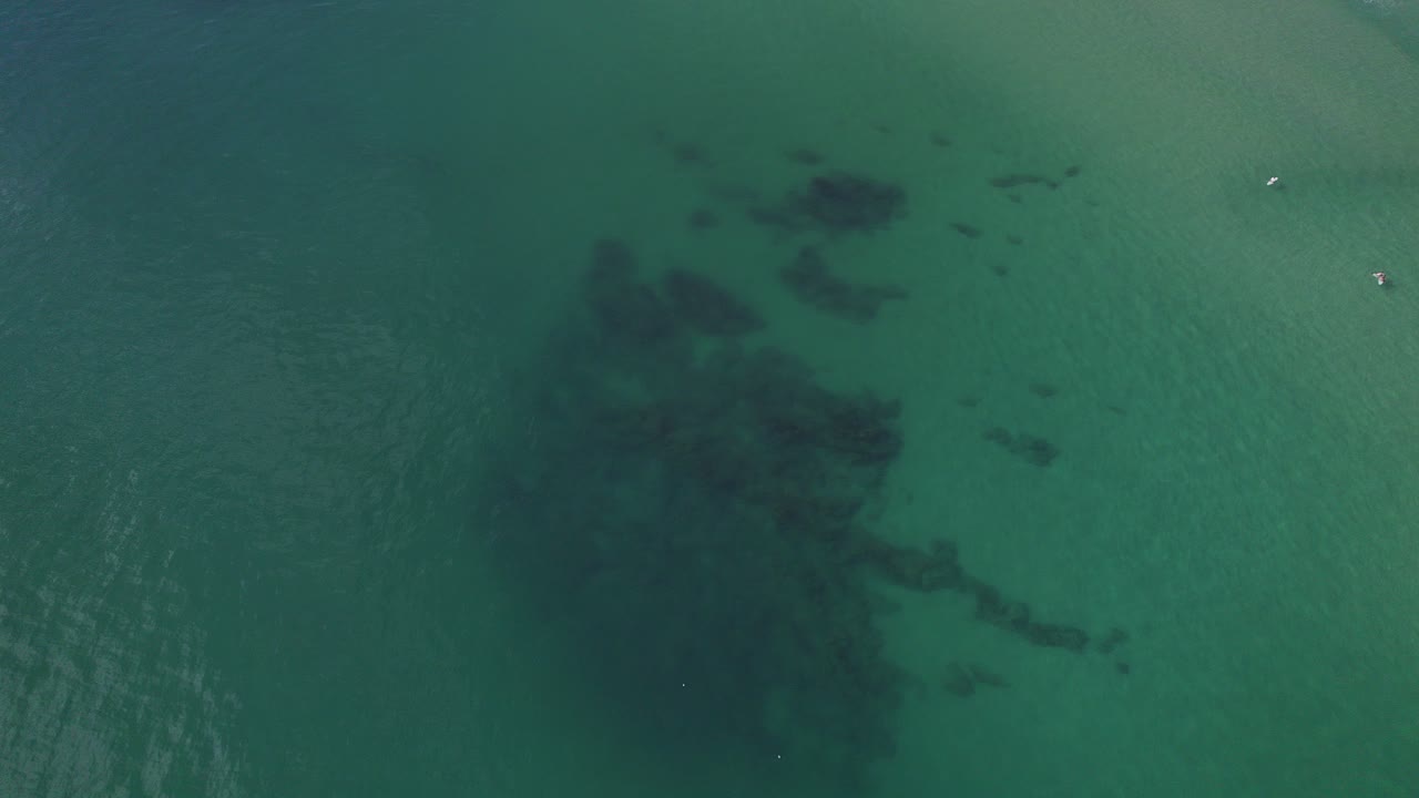 퀸즐랜드 골드 코스트의 팜 비치에서 스노클링과 서핑을 즐기기에 완벽한 맑고 푸른 바다