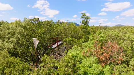 Aerial-establishing-shot-of-a-metal-walkway-in-the-tree-canopy-at-Puéchabon