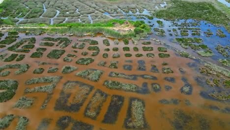 island aerial top down above flooded geometrical fields, green grass with bronze earthy tones colored water