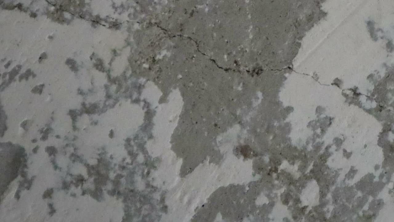 stop motion animación de fondo de textura de hormigón o útil para viejos efectos de películas utilizando la herramienta de opacidad o luma mate