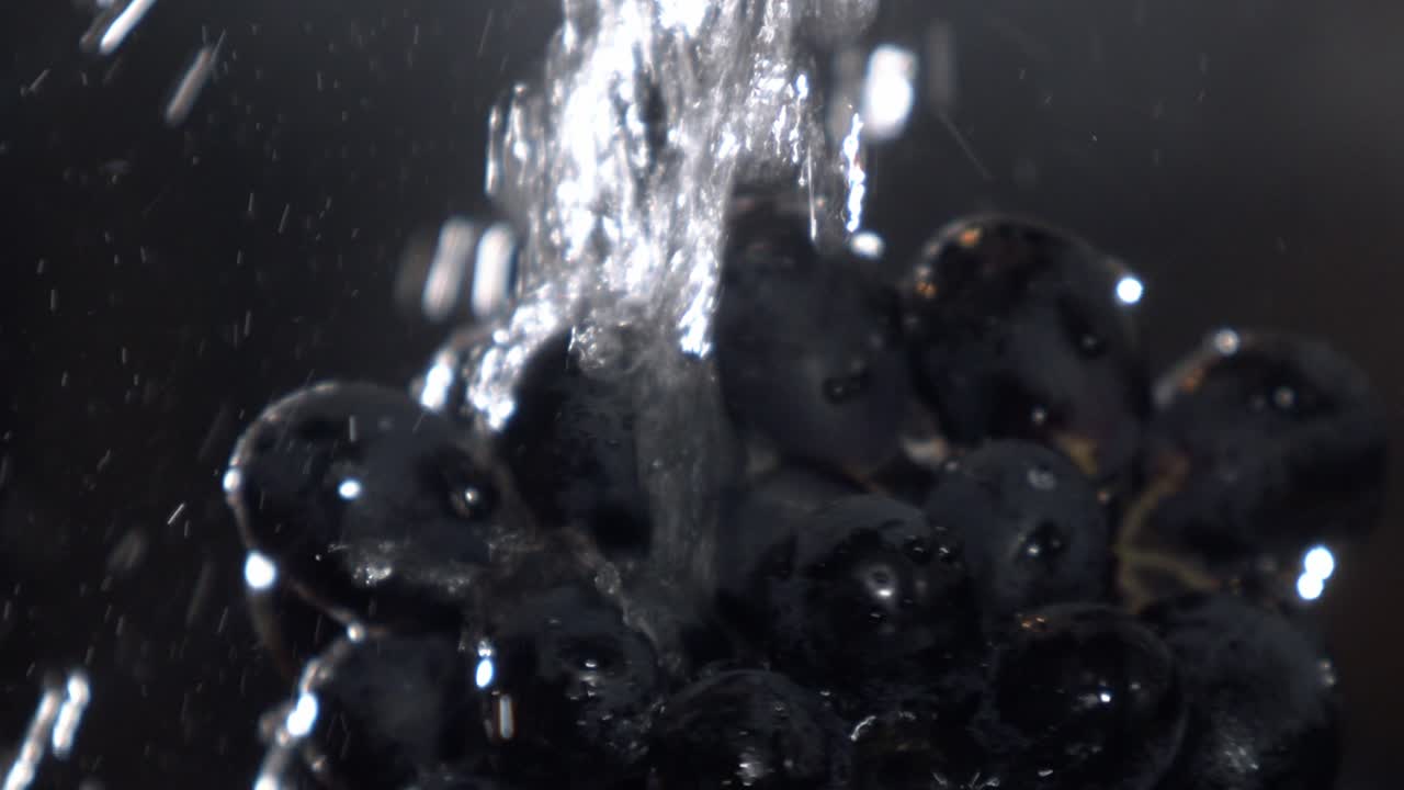 Seasonal vineyard black whole grapes, running cleansing h20, close-up