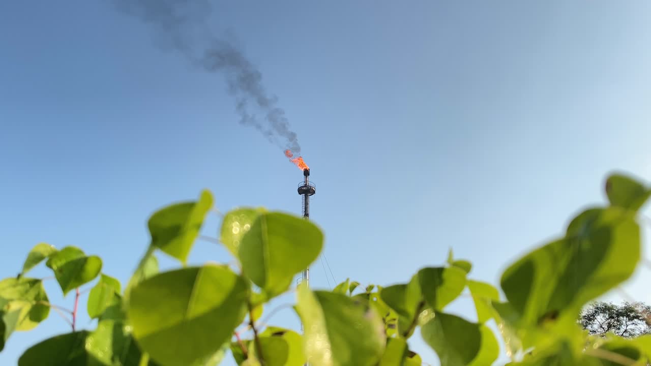Fumi neri e densi si sprigionano da un camino a gas, ripresa dal basso con foglie in primo piano