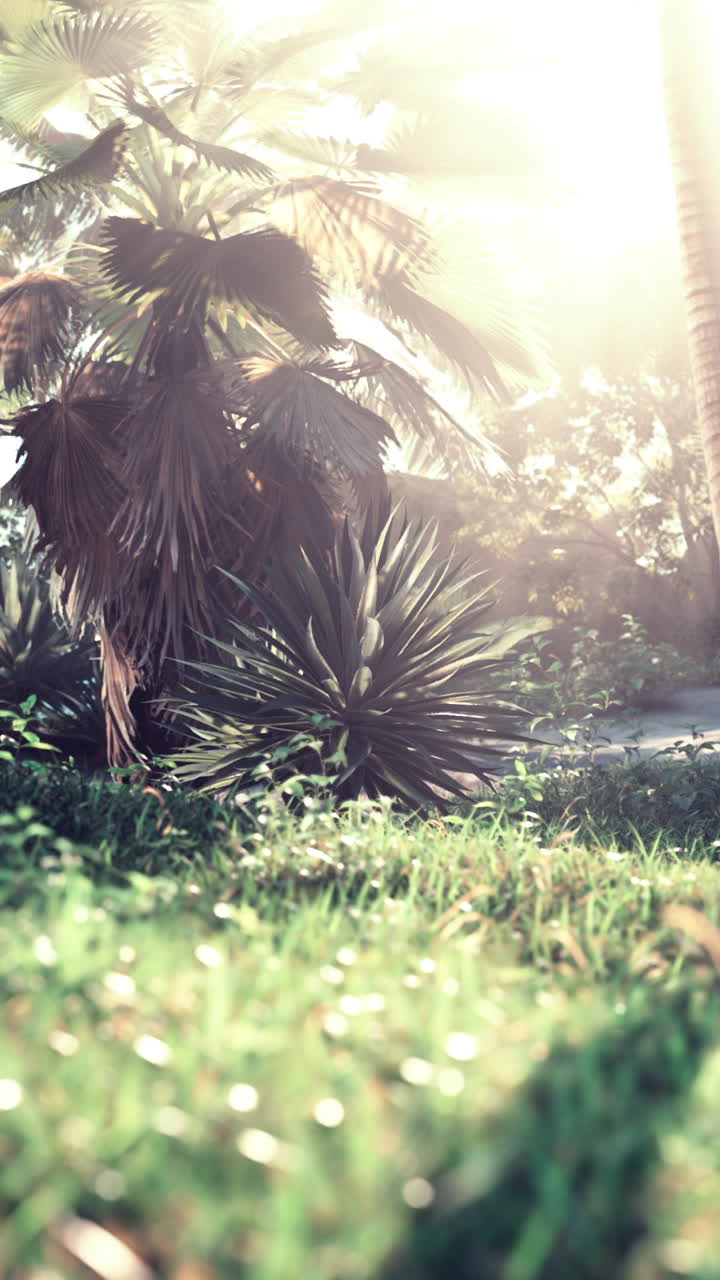 el paraíso de la selva tropical