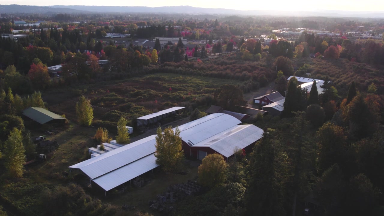 Smukt luftfoto, mens dronen daler ned over en levende efterårsfarm, med gyldne og ravfarvede blade spredt ud over markerne – der afslører rækker af afgrøder omgivet af farverigt efterårsløv.