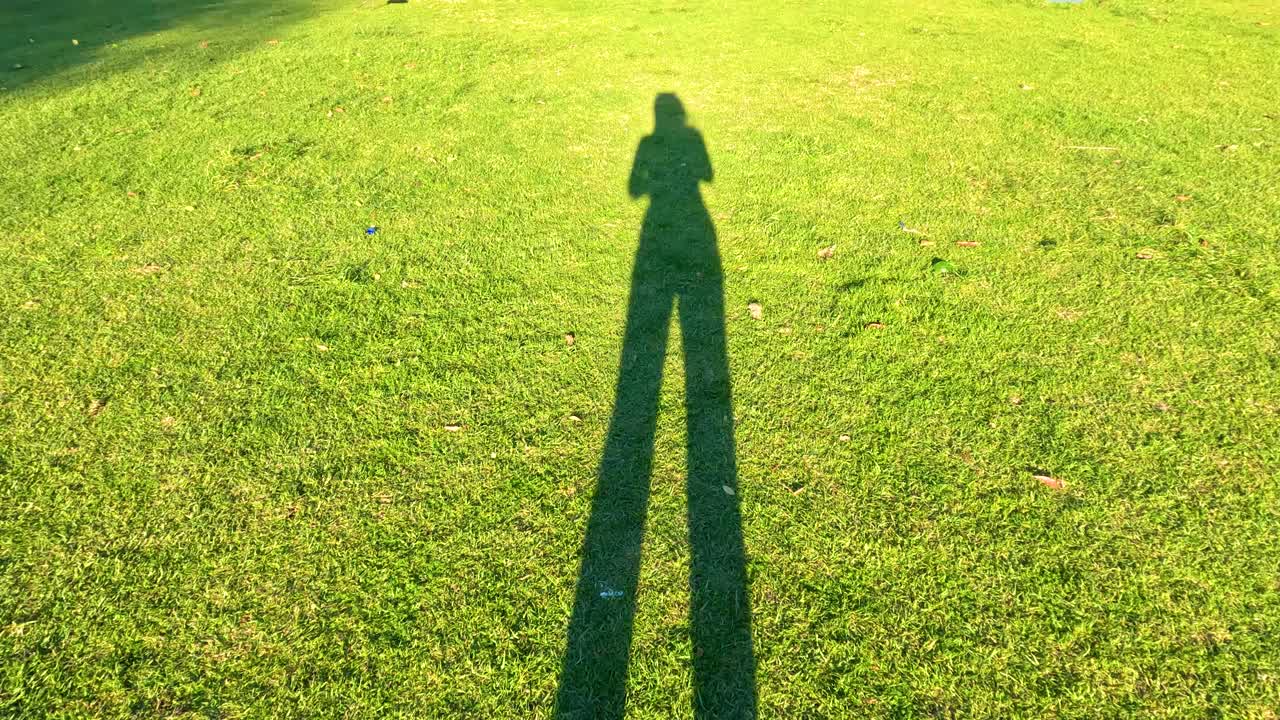 그늘이 활기찬 초록 잔디를 가로질러 펼쳐져 있으며, 멜버른에서 빛과 형태의 장난스러운 상호 작용을 포착합니다.