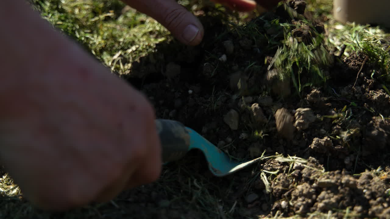 haciendo trabajos de jardinería. cavar el suelo.