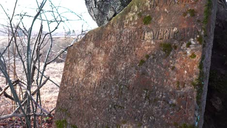 Old-granite-tombstone-near-countryside-tree,-branch-shadows-reflect-on-surface