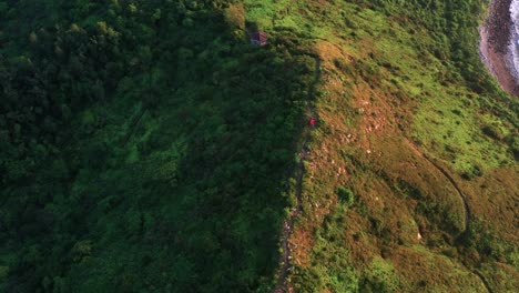 ángulo-Alto-De-Rotación-Aérea-Mirando-Hacia-Abajo-Sobre-La-Cima-De-La-Colina-De-La-Isla-Lantau-Tropical-Verde-Exuberante