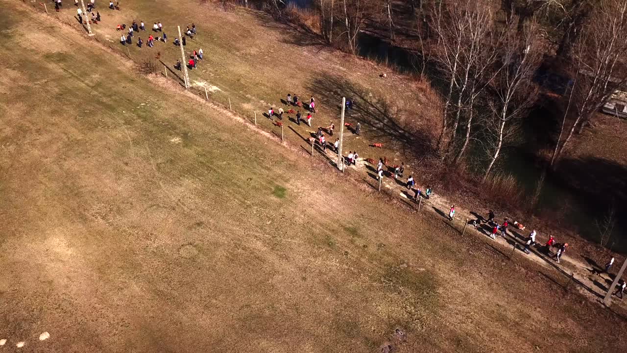 한 무리의 사람들이 시골길에서 목줄을 풀고 개를 걷고 운동시키는 공중 촬영