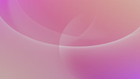 calm background animation showcasing elegantly drifting, pink-colored curved elements that subtly morph and evolve in shape, creating a dynamic and fluid motion