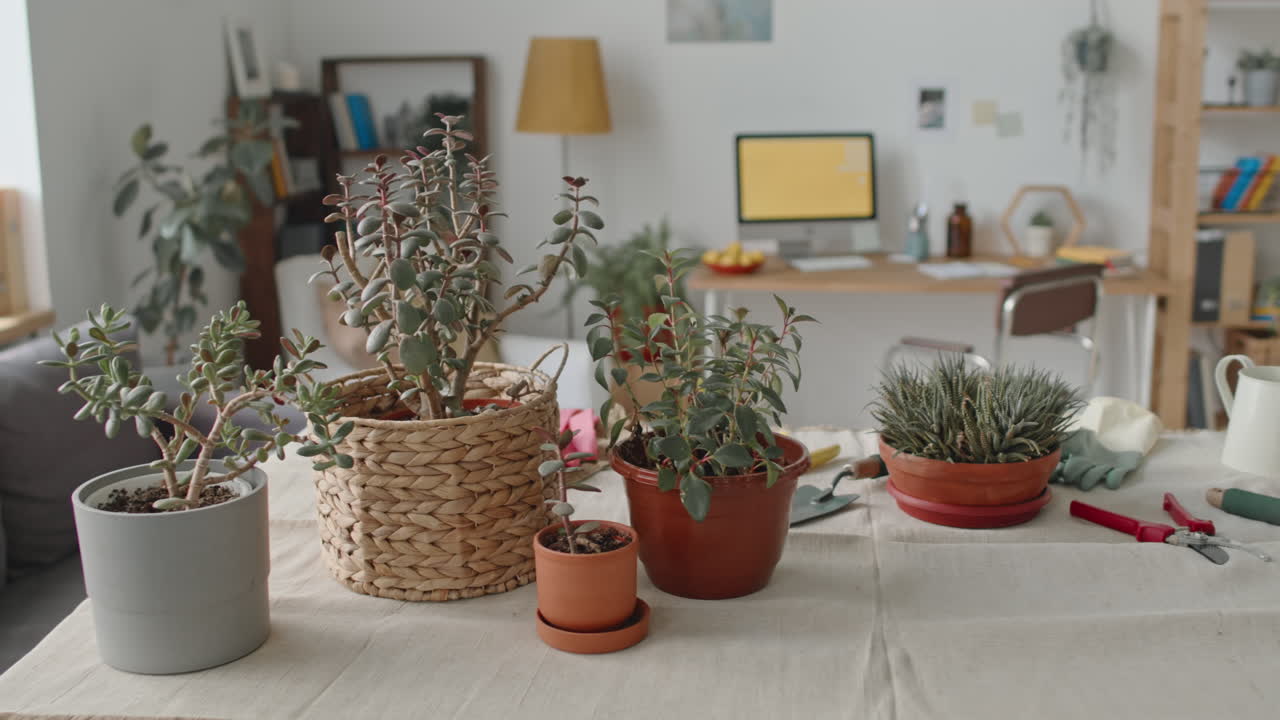 Indoor gardening and houseplants in a home office setting