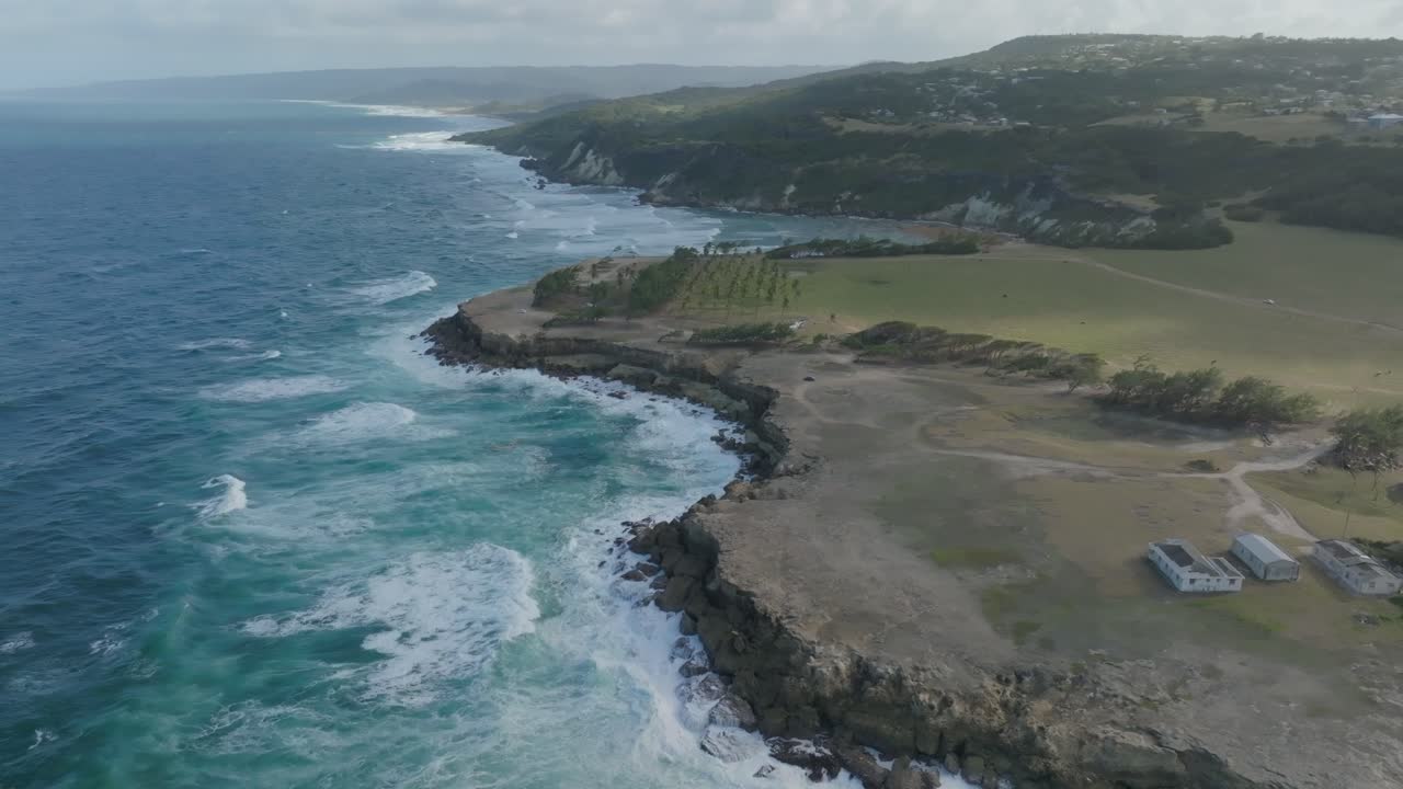 orbita aérea de gran ángulo muestra la bahía de la bahía st. lucy barbados cocotero y campos de hierba