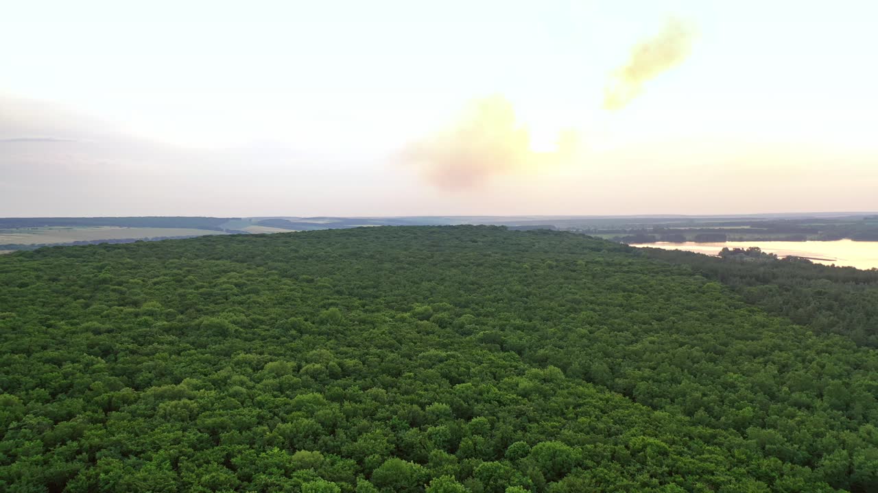 Flight over dense green trees of the woodland in the evening. Natural green background of forest in summer. Aerial view.
