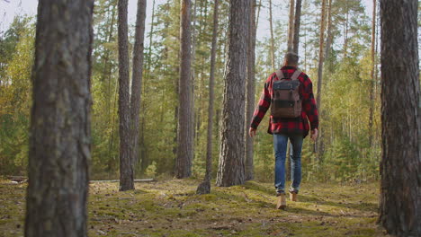 outdoor activities travel concept man in nature. back view of walking person on field road in national park. one 30s tourist walks on an adventure trip in natural landscape in hike on a environment. high quality 4k footage