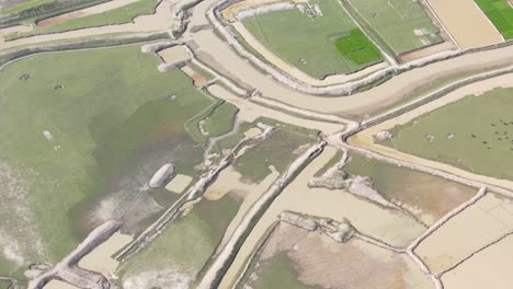 Aerial-view-of-textured-pastoral-farmland-landscape-with-small-canals-in-Bangladesh